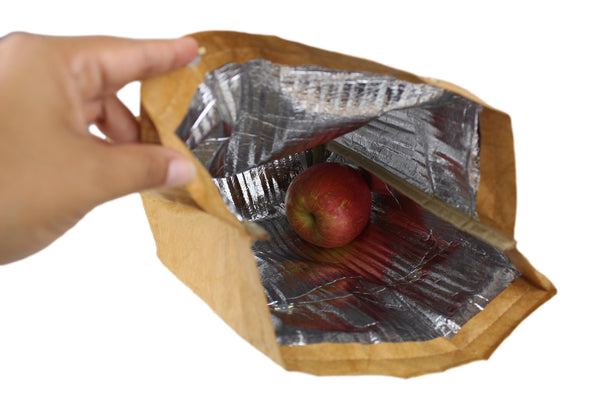 Reusable Insulated Lunch Bag/Box with Magnetic Snaps : Kids, Adults, School, Work, Men, Women, Children, Boys or Girls