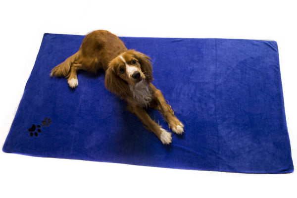 XL Premium Microfibre Pet Dog Towel Set - 150x80cm & 40x30cm : Super Absorbent - Quick Drying - Extra Soft