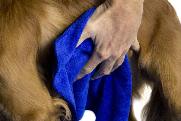 XL Premium Microfibre Pet Dog Towel Set - 150x80cm & 40x30cm : Super Absorbent - Quick Drying - Extra Soft